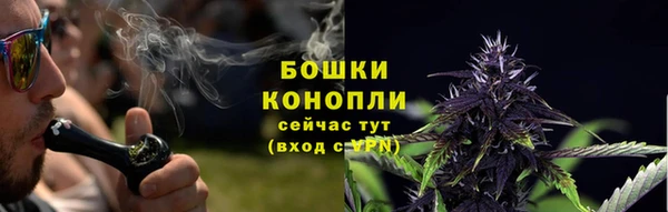первитин Вяземский
